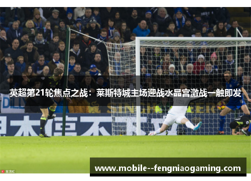 英超第21轮焦点之战：莱斯特城主场迎战水晶宫激战一触即发