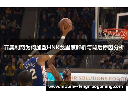 菲奥利奇为何加盟HNK戈里察解析与背后原因分析