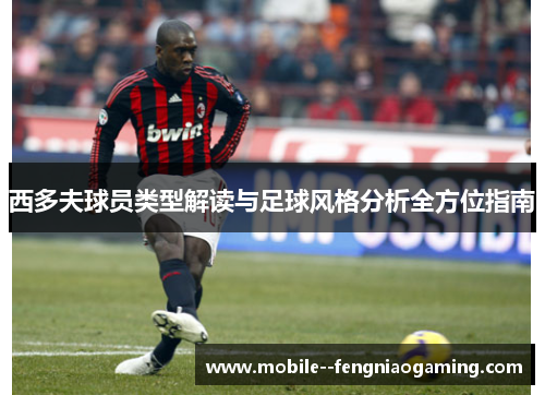 西多夫球员类型解读与足球风格分析全方位指南
