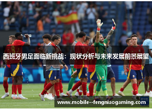 西班牙男足面临新挑战：现状分析与未来发展前景展望