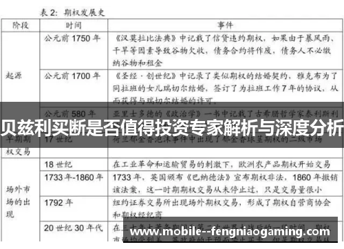 贝兹利买断是否值得投资专家解析与深度分析