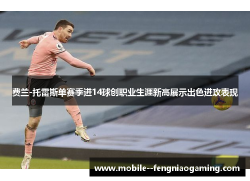 费兰-托雷斯单赛季进14球创职业生涯新高展示出色进攻表现