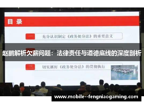 赵鹏解析欠薪问题：法律责任与道德底线的深度剖析