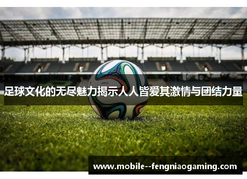 足球文化的无尽魅力揭示人人皆爱其激情与团结力量