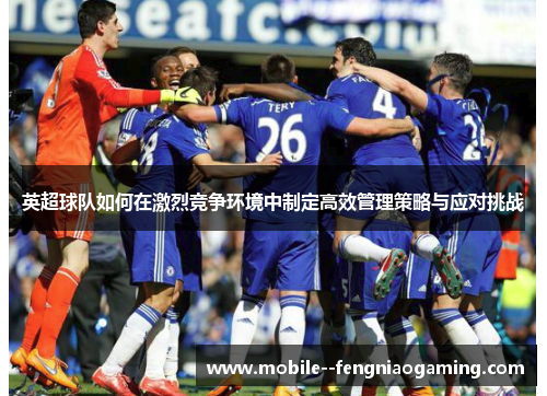 英超球队如何在激烈竞争环境中制定高效管理策略与应对挑战