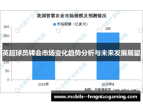 英超球员转会市场变化趋势分析与未来发展展望