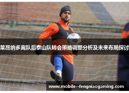 莱昂纳多离队后泰山队转会策略调整分析及未来布局探讨