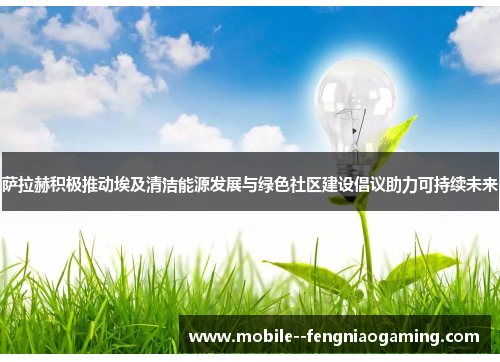 萨拉赫积极推动埃及清洁能源发展与绿色社区建设倡议助力可持续未来