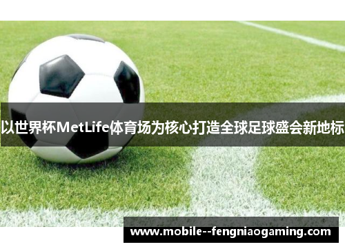 以世界杯MetLife体育场为核心打造全球足球盛会新地标