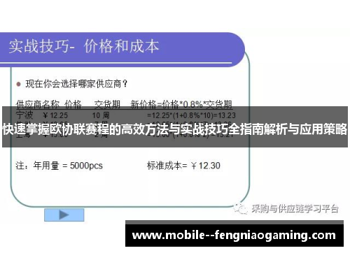 快速掌握欧协联赛程的高效方法与实战技巧全指南解析与应用策略