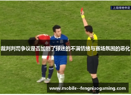 裁判判罚争议是否加剧了球迷的不满情绪与赛场氛围的恶化