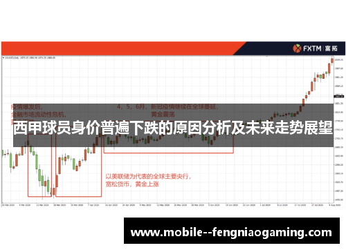 西甲球员身价普遍下跌的原因分析及未来走势展望