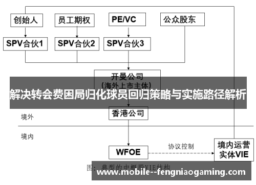 解决转会费困局归化球员回归策略与实施路径解析