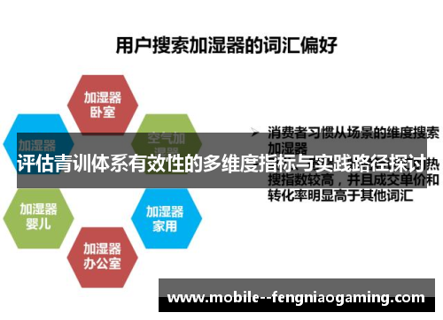 评估青训体系有效性的多维度指标与实践路径探讨