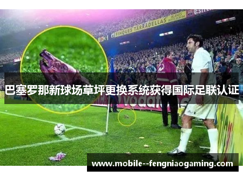 巴塞罗那新球场草坪更换系统获得国际足联认证
