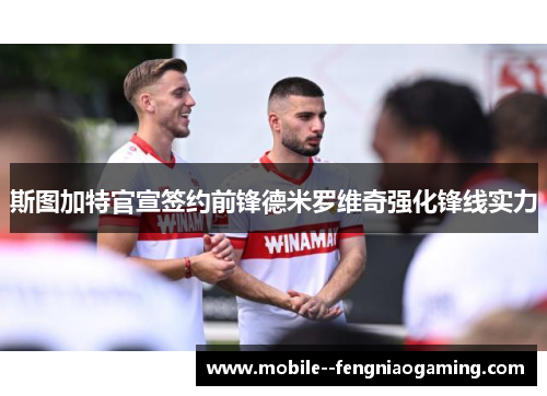 斯图加特官宣签约前锋德米罗维奇强化锋线实力