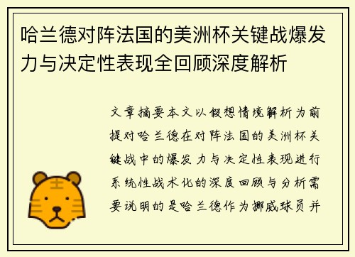 哈兰德对阵法国的美洲杯关键战爆发力与决定性表现全回顾深度解析