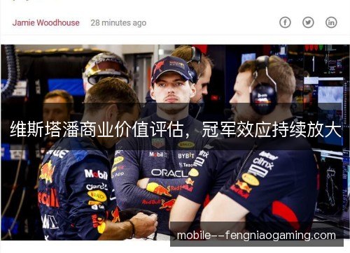 维斯塔潘商业价值评估，冠军效应持续放大